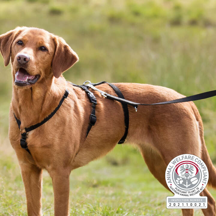 TRIXIE Hunde-Panikgeschirr Stay